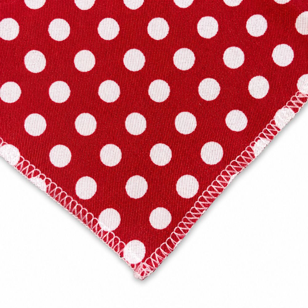 Bandana Pet Dereck M