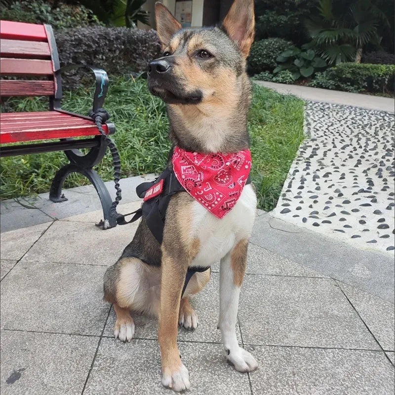 Adjustable Triangular Bandage For Pet Dog Cat Washable Scarf Bandana Collar Bibs Cat Neck Decor Birthday Party Dress Up