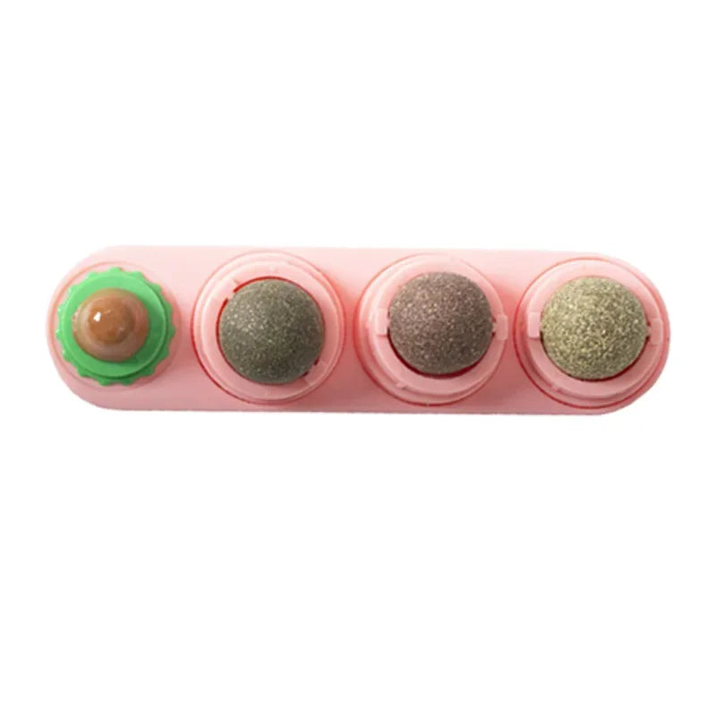 4-in-1 Rotating Catnip Ball for Cats, Dental Cleaning, and Fun