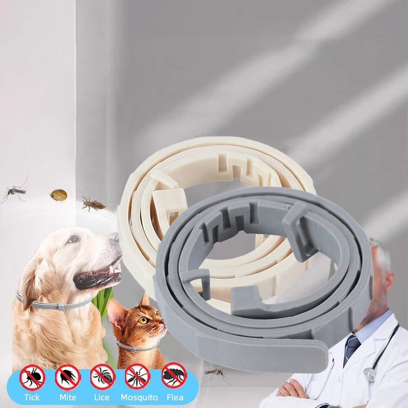 Coleira Luminosa Decorativa para Cães e Gatos, Repelente de Pulgas, Piolhos e Mosquitos