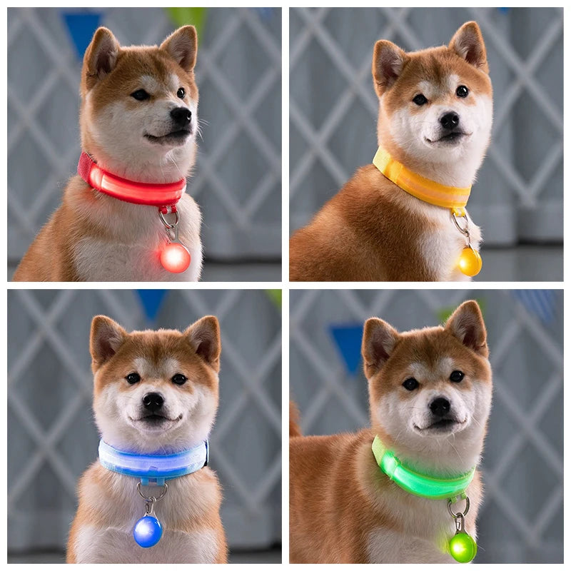 Coleira Luminosa Decorativa para Cães e Gatos, Repelente de Pulgas, Piolhos e Mosquitos