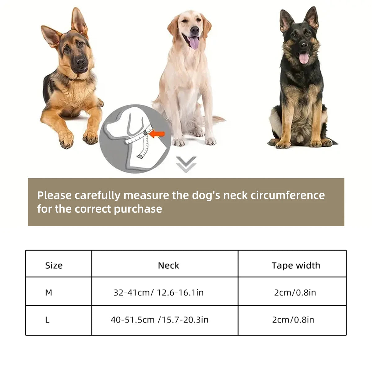 Coleira PVC Impermeável para Cães, Ideal para Adestramento e Passeio