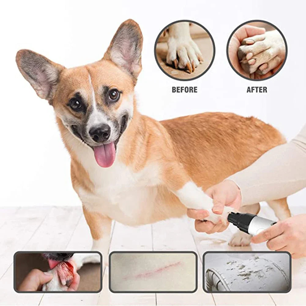 Electric Nail Clipper for Dogs and Cats, Professional USB Rechargeable Grinder