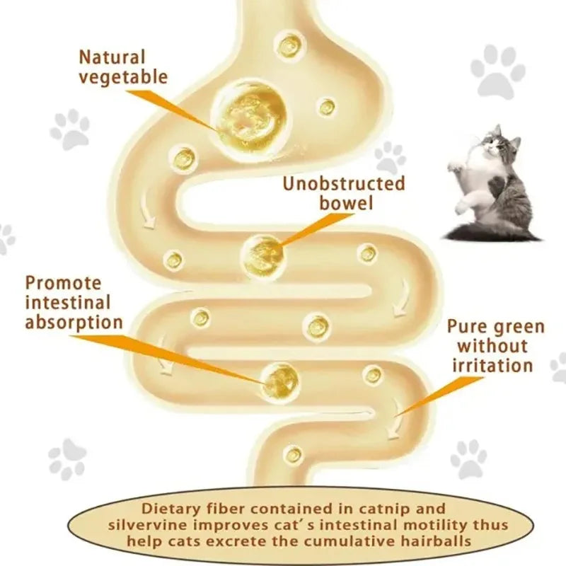 Bola de Catnip Rotativa 4 em 1 para Gatos, Limpeza Dental e Diversão