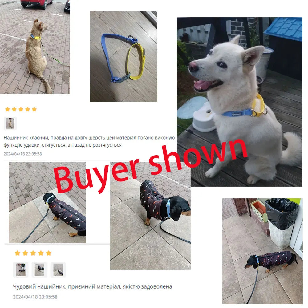Coleira PVC Impermeável para Cães, Ideal para Adestramento e Passeio
