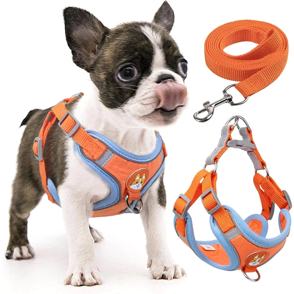 Pet Dog And Cat Leashes Guide Set Vest Type Leashes For Pet Small And Medium
