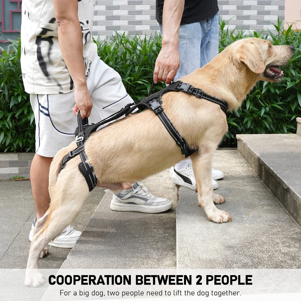 Colete de Suporte para Cães com Mobilidade Reduzida, Auxílio nas Patas Traseiras
