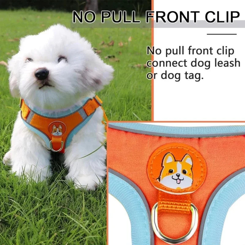 Pet Dog And Cat Leashes Guide Set Vest Type Leashes For Pet Small And Medium