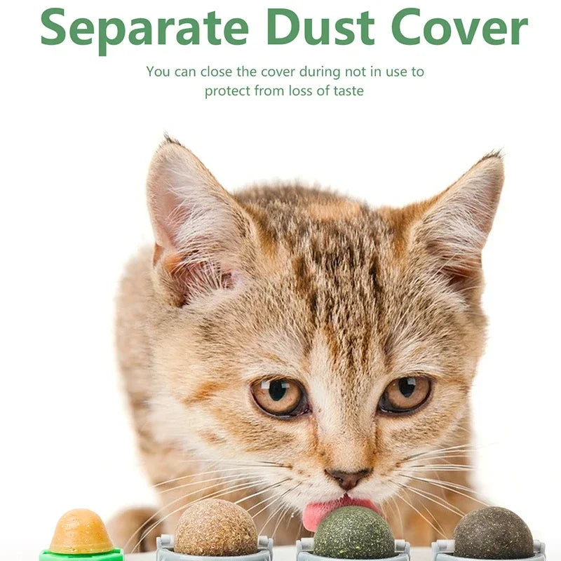 Bola de Catnip Rotativa 4 em 1 para Gatos, Limpeza Dental e Diversão
