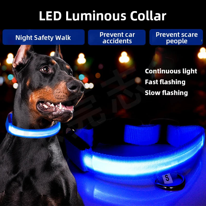 Coleira Luminosa Decorativa para Cães e Gatos, Repelente de Pulgas, Piolhos e Mosquitos