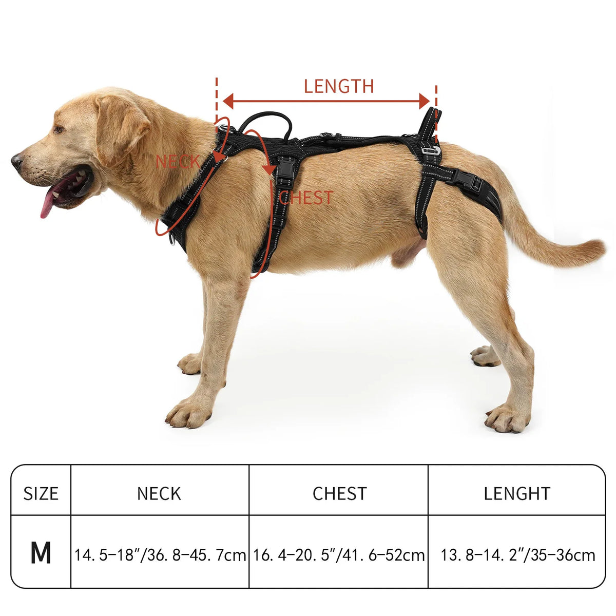 Colete de Suporte para Cães com Mobilidade Reduzida, Auxílio nas Patas Traseiras