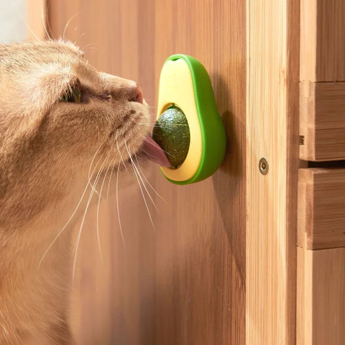 Bola de Catnip Giratória para Gatos, Formato Abacate, Fixação na Parede