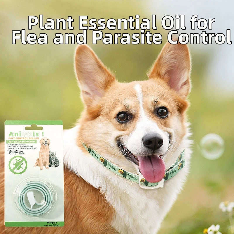 Coleira com Óleo Essencial Antipulgas para Cães e Gatos, Proteção Externa Primavera/Verão
