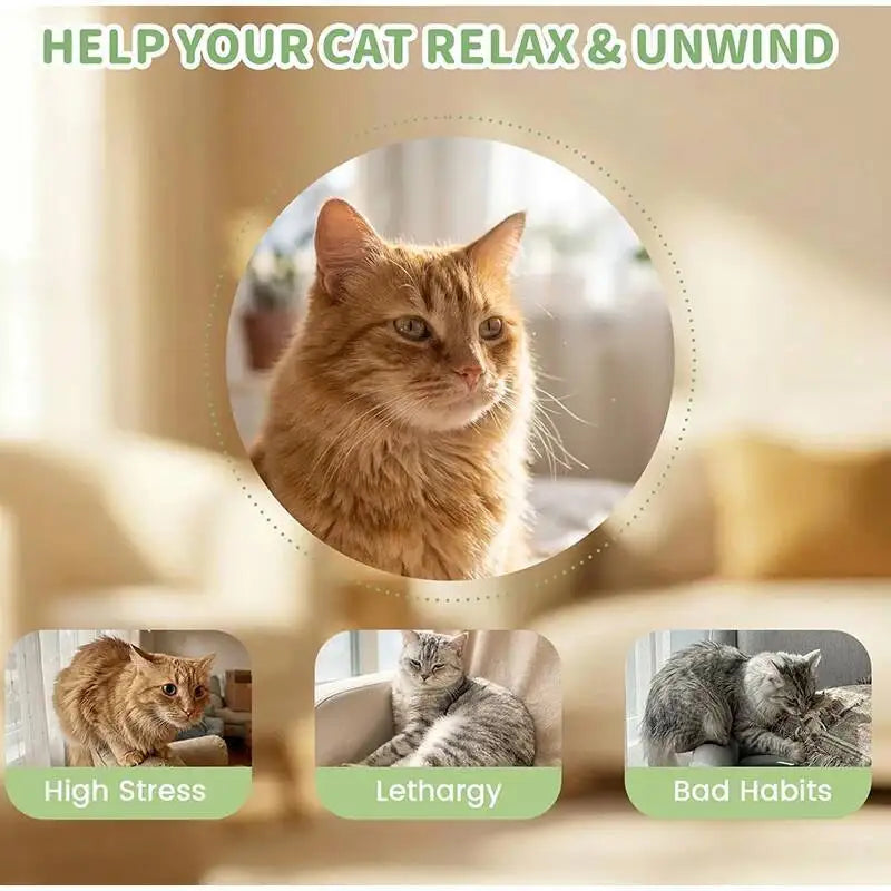 Brinquedo Mastigável de Menta para Gatos, Limpeza Dental e Alívio de Ansiedade
