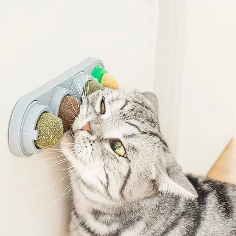 Bola de Catnip Rotativa 4 em 1 para Gatos, Limpeza Dental e Diversão