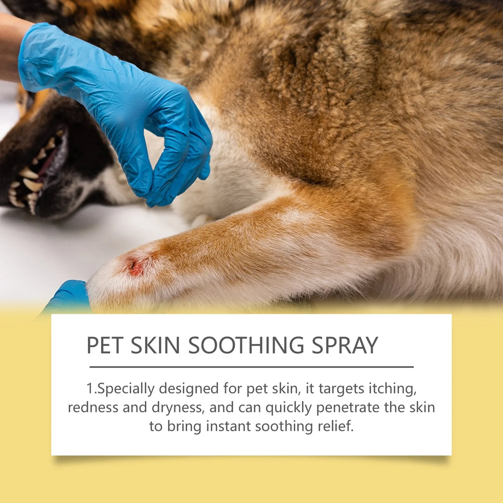 Spray Dermatológico para Cães e Gatos, Alivia Coceira e Controla Pulgas e Piolhos