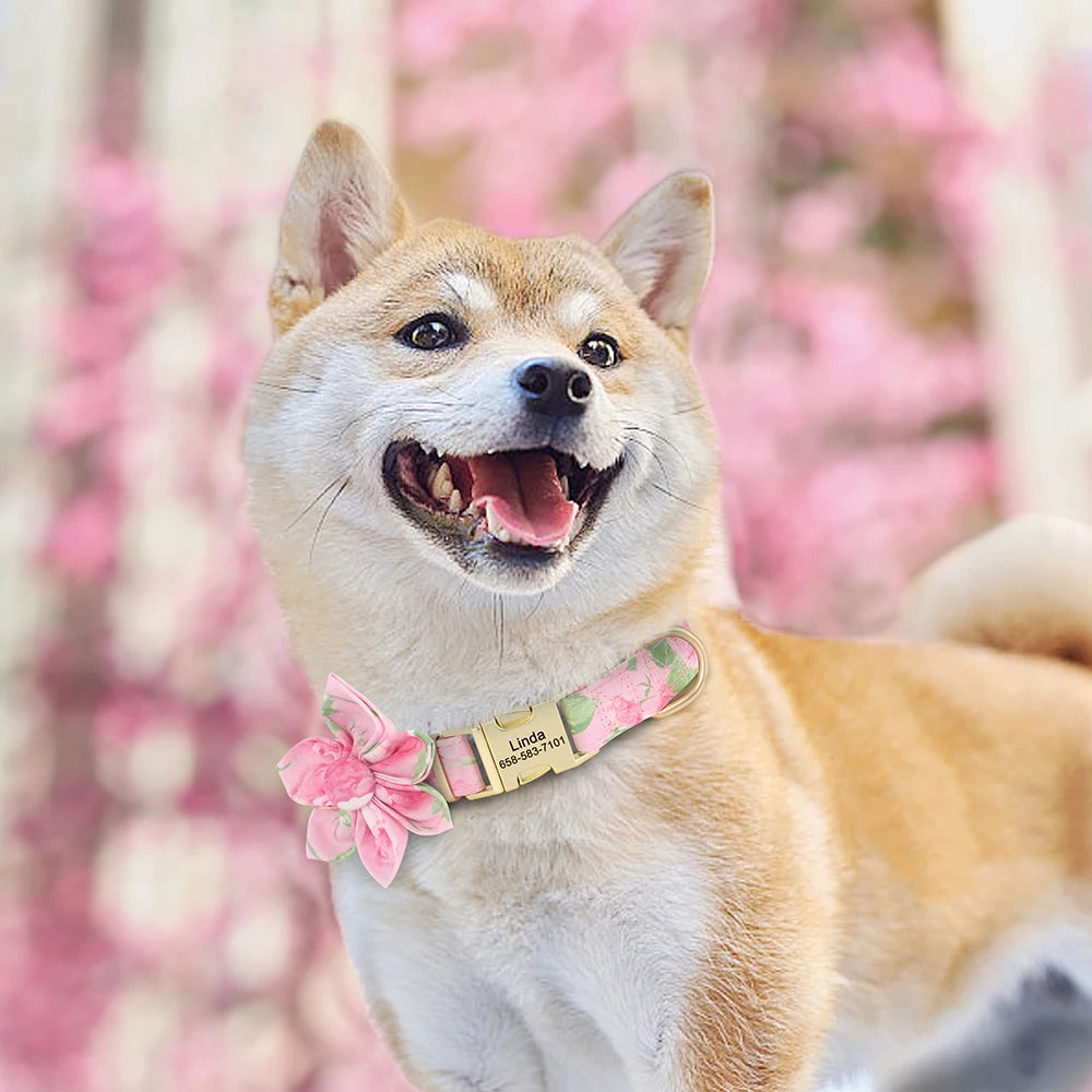 Coleira de Nylon Personalizada para Cães com Estampa Fofa, Gravação Grátis de Identificação, Ajustável
