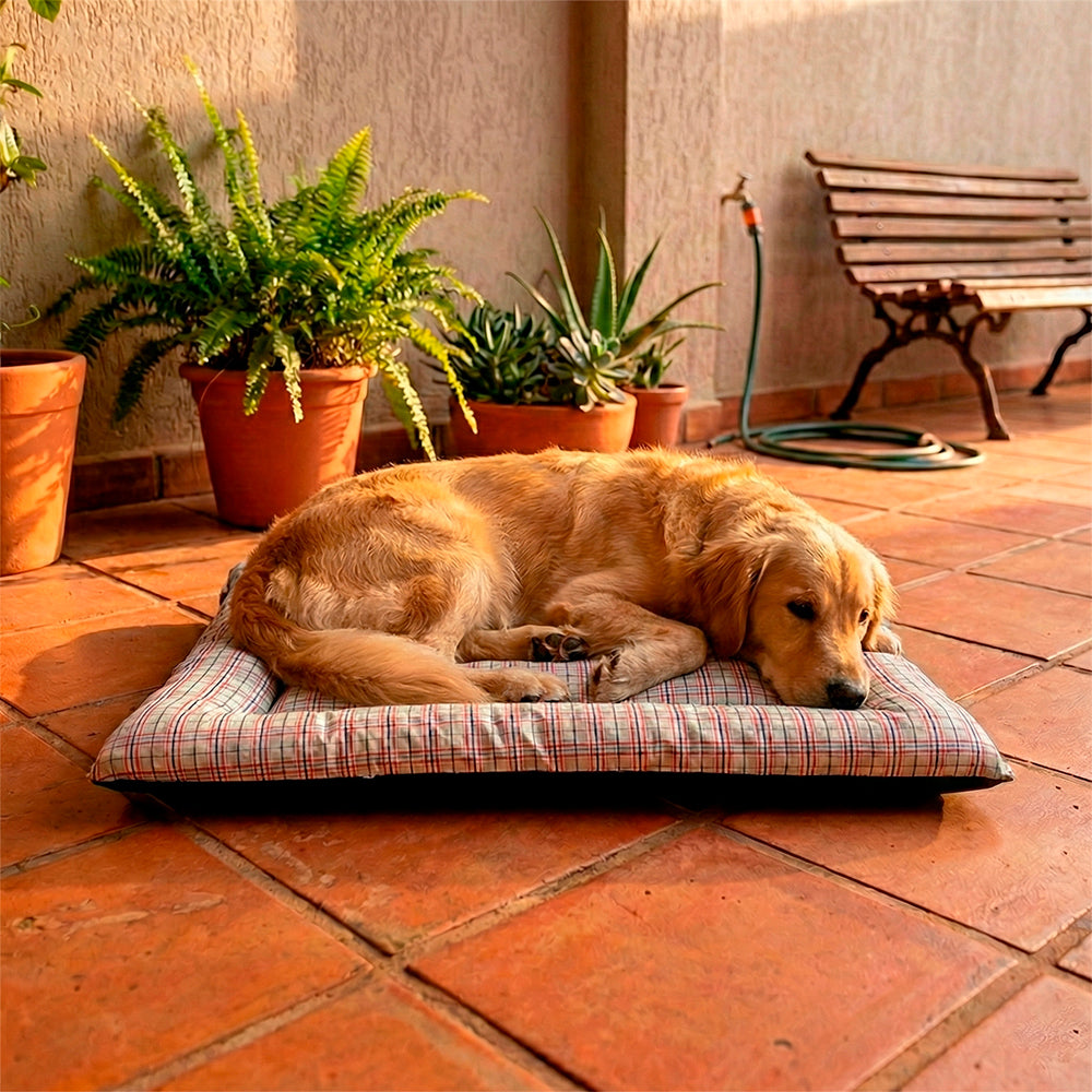 Colchonete Pet Quality Impermeável Médio