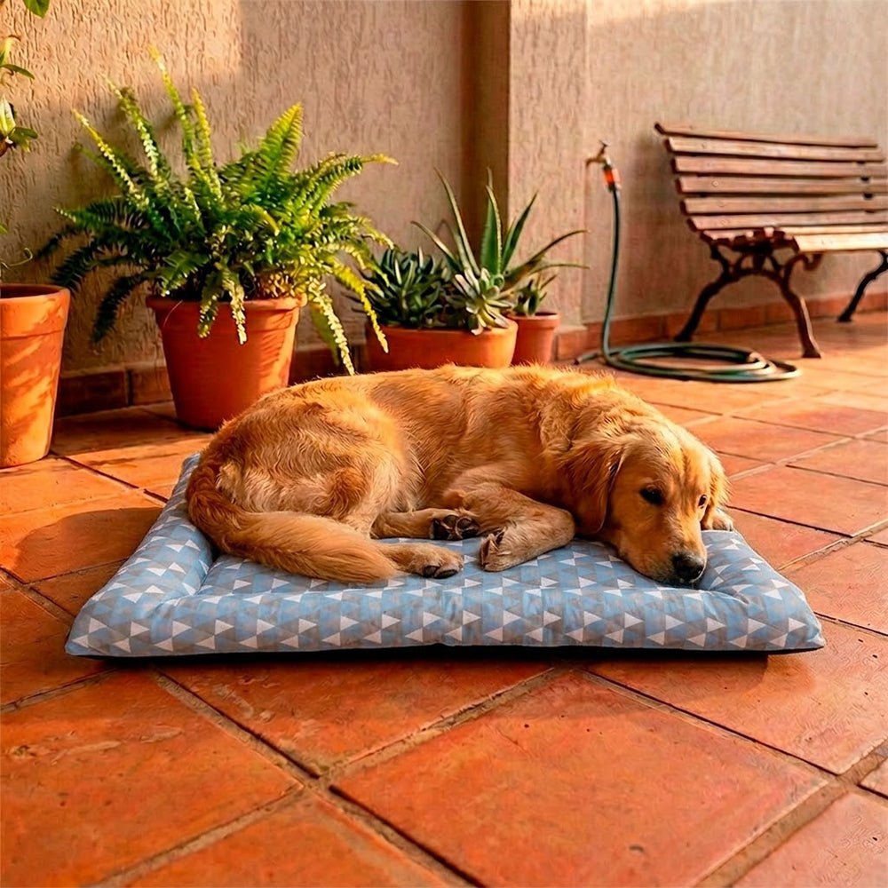 Colchonete Pet Quality Impermeável Pequeno