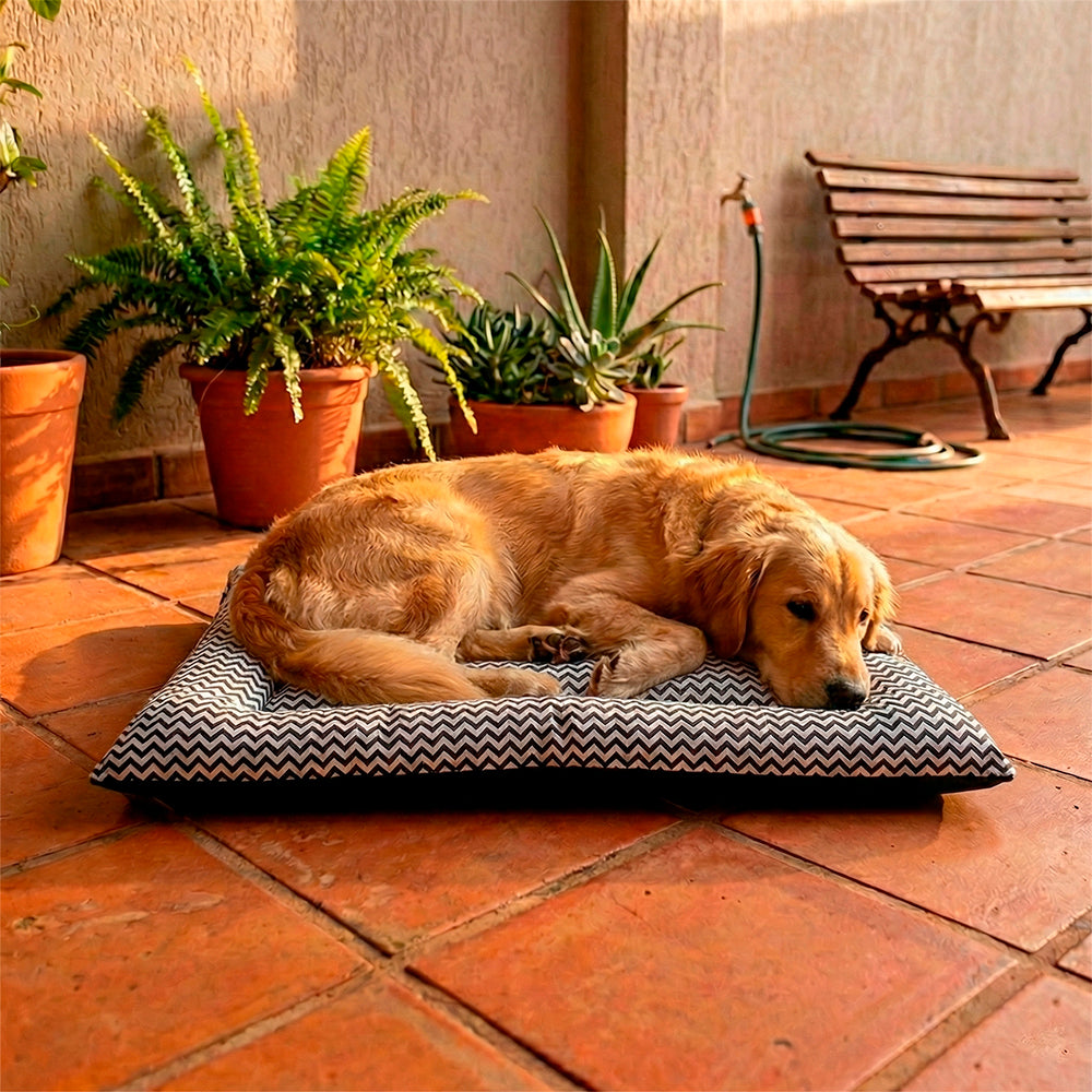 Colchonete Pet Quality Impermeável Grande