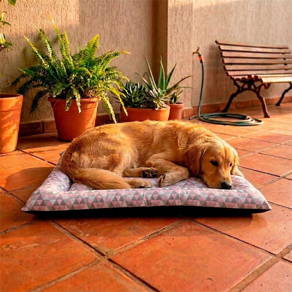Colchonete Pet Quality Impermeável Grande