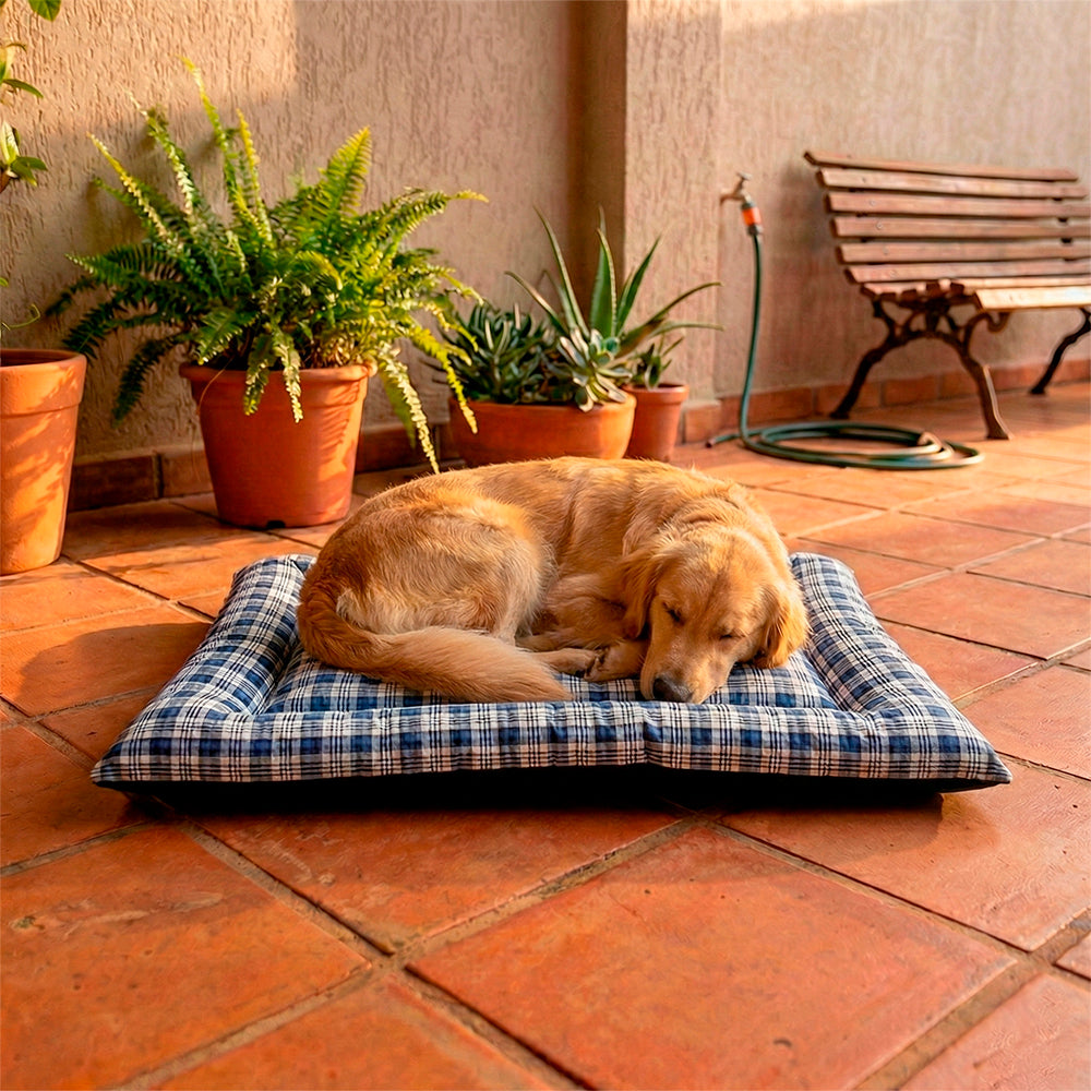 Colchonete Pet Quality Impermeável Pequeno