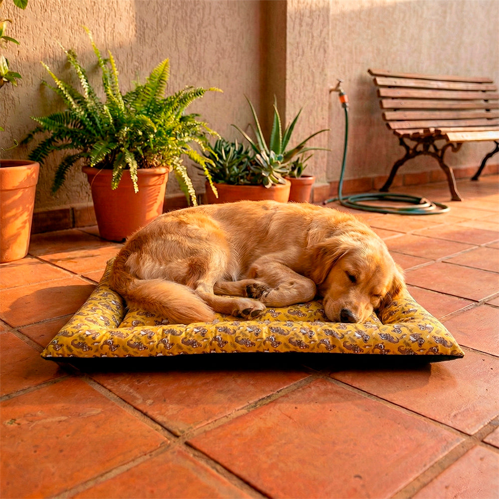 Colchonete Pet Quality Impermeável Pequeno