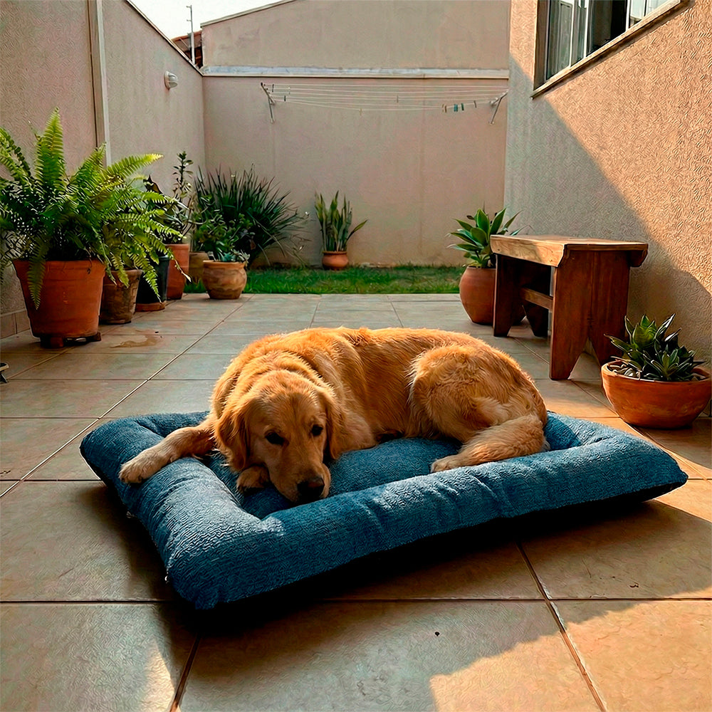 Colchonete Pet Impermeável Gorgopet Médio