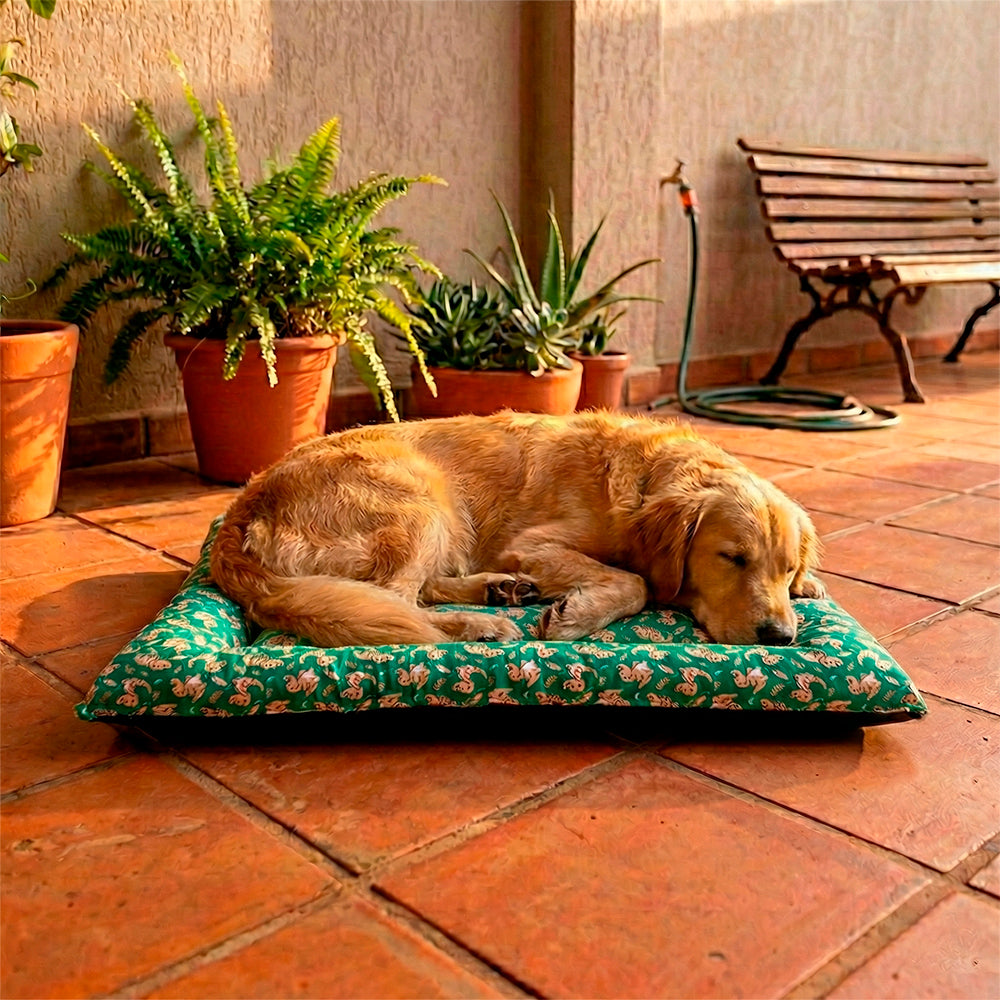 Colchonete Pet Quality Impermeável Grande