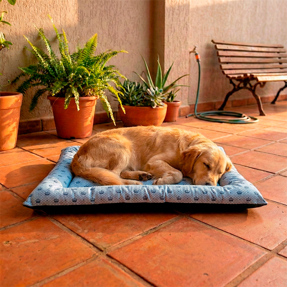 Colchonete Pet Quality Impermeável Pequeno