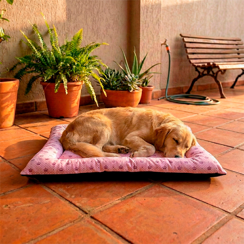Colchonete Pet Quality Impermeável Grande
