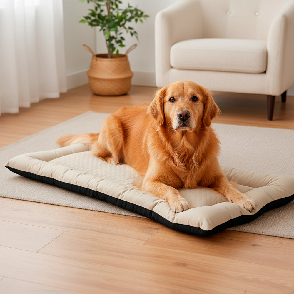 Colchonete Pet Toddy Impermeável Gigante