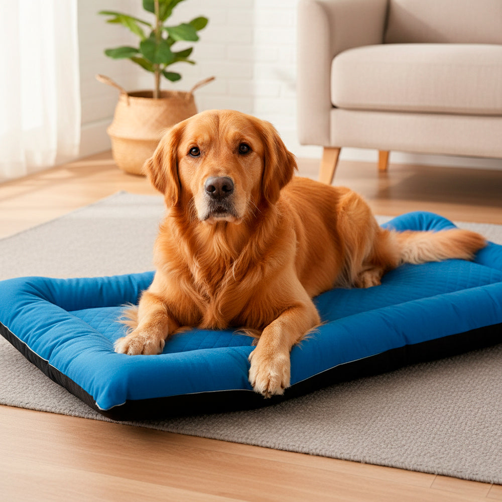 Colchonete Pet Toddy Impermeável Gigante