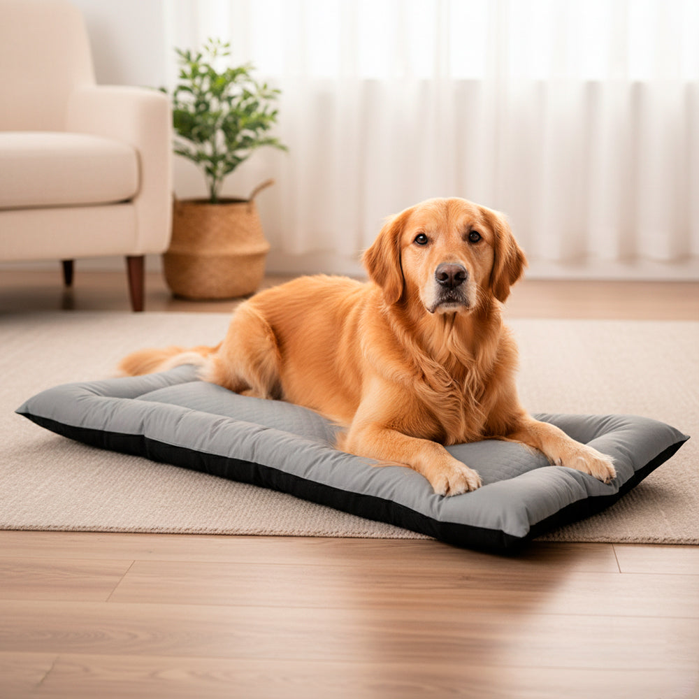 Colchonete Pet Toddy Impermeável Gigante