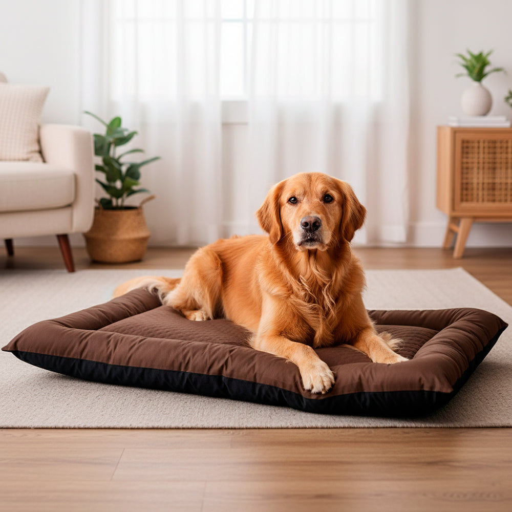 Colchonete Pet Toddy Impermeável Gigante