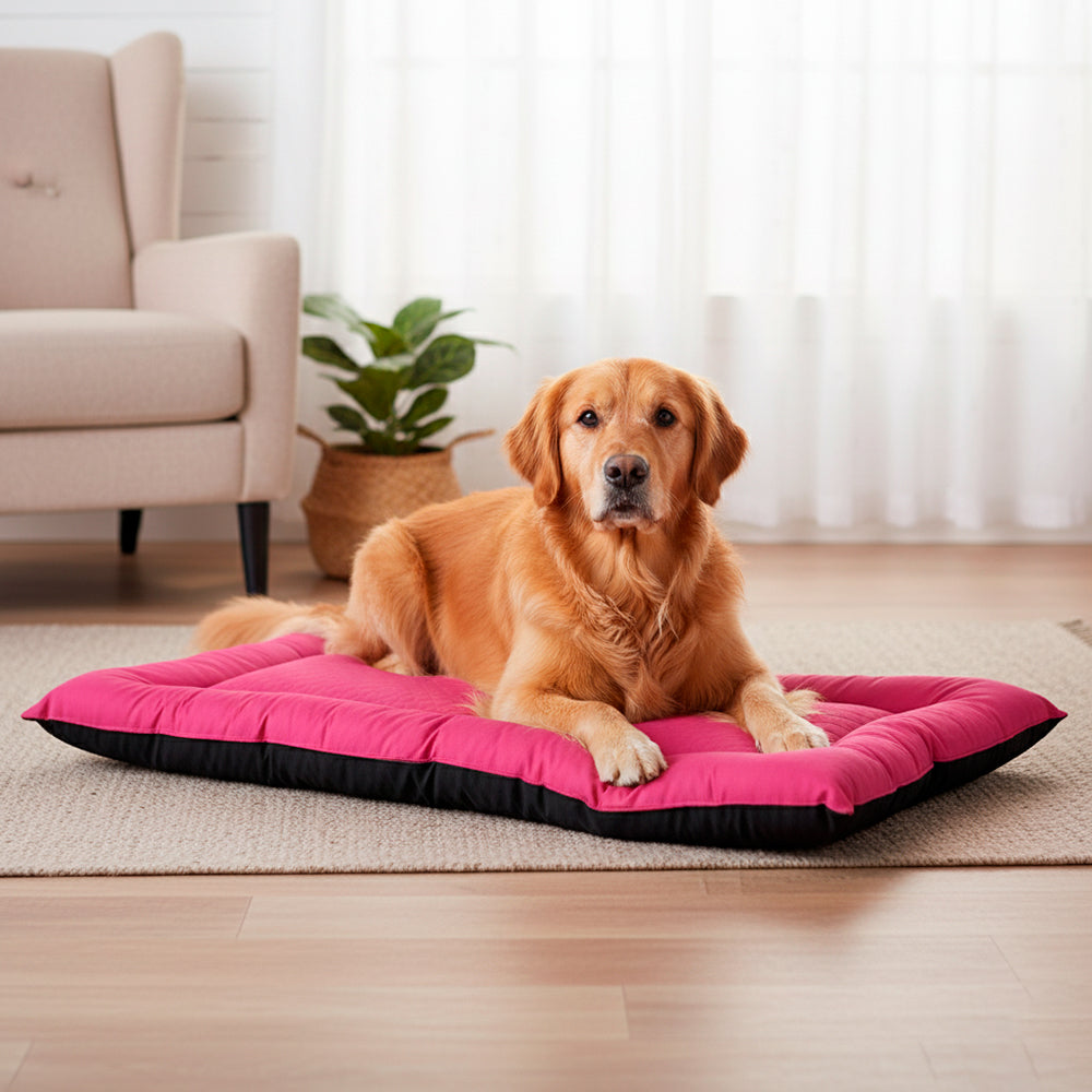 Colchonete Pet Toddy Impermeável Gigante