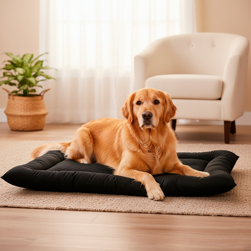 Colchonete Pet Toddy Impermeável Gigante