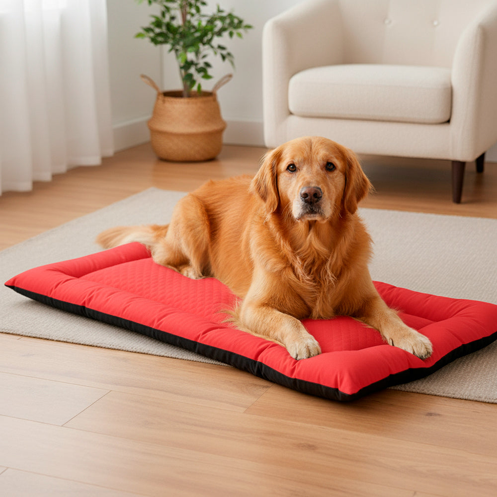 Colchonete Pet Toddy Impermeável Gigante