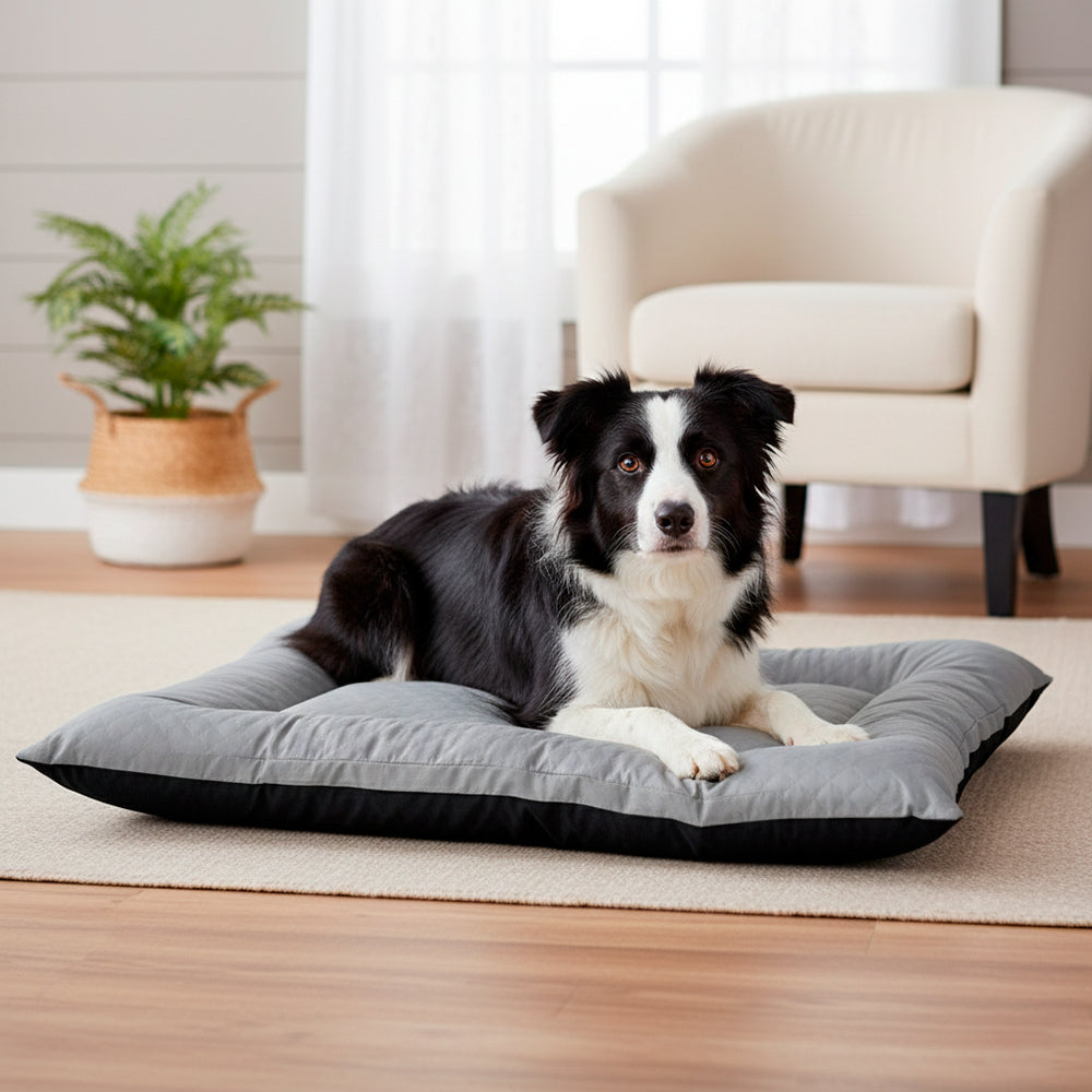 Colchonete Pet Toddy Impermeável Grande