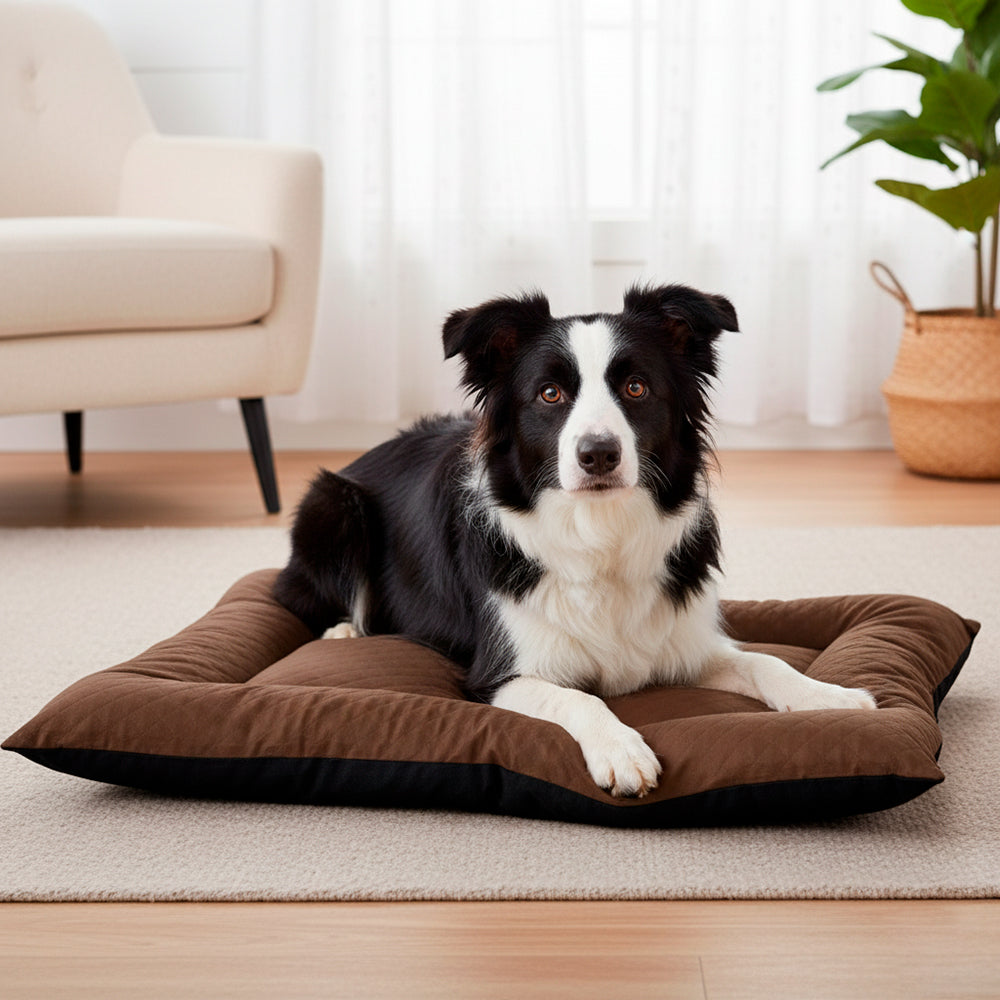 Colchonete Pet Toddy Impermeável Grande