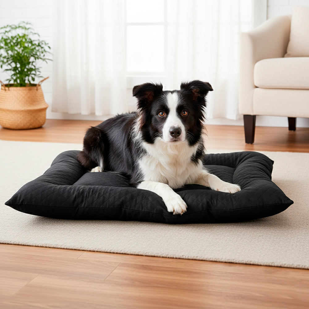 Colchonete Pet Toddy Impermeável Grande