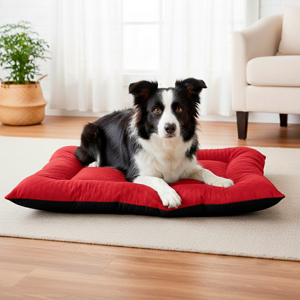 Colchonete Pet Toddy Impermeável Grande