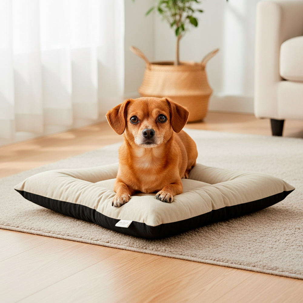 Colchonete Pet Toddy Impermeável Pequeno