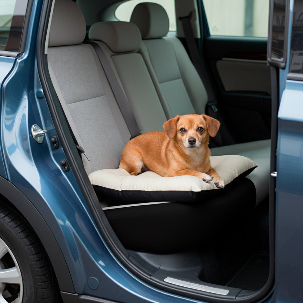 Colchonete Pet Toddy Impermeável Pequeno