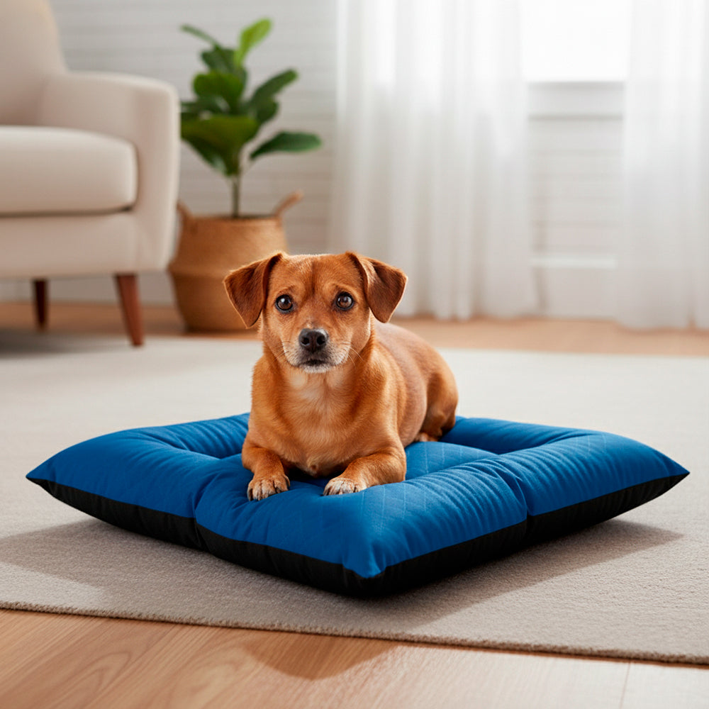 Colchonete Pet Toddy Impermeável Pequeno