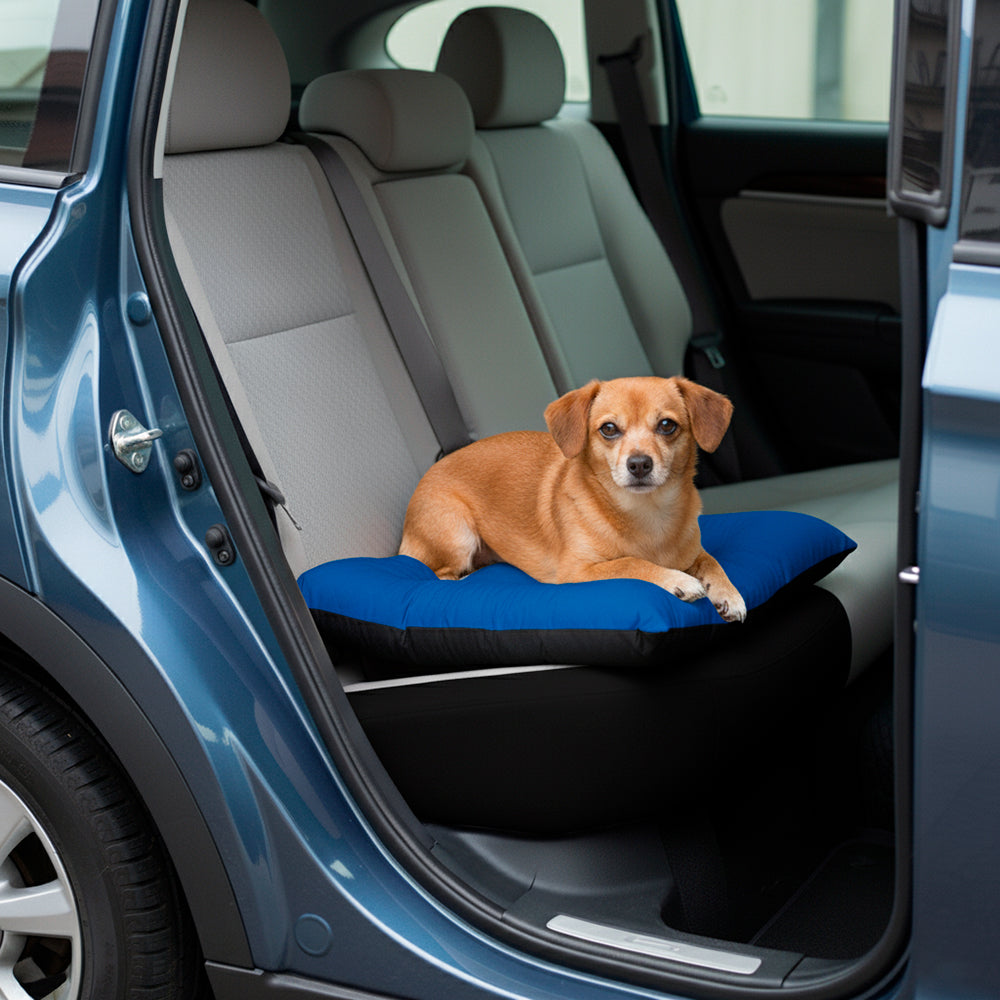 Colchonete Pet Toddy Impermeável Pequeno