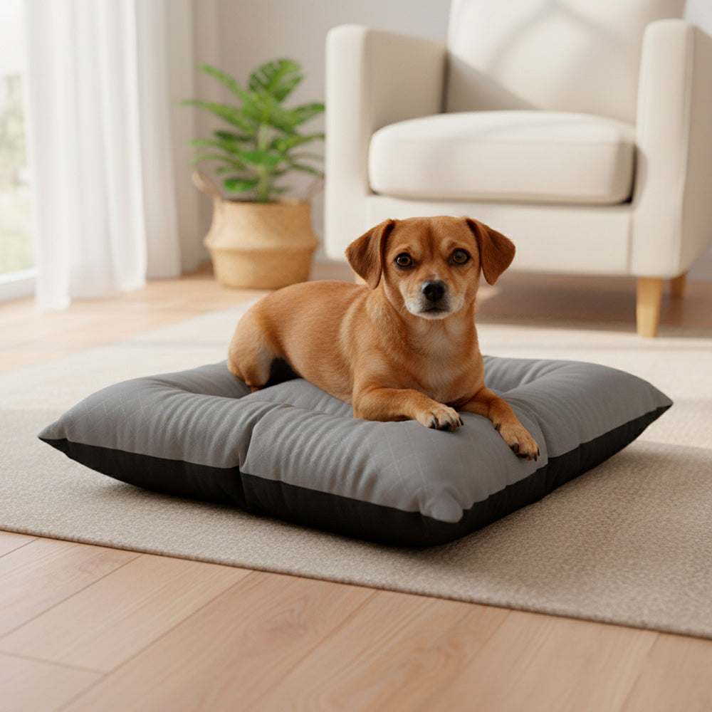 Colchonete Pet Toddy Impermeável Pequeno