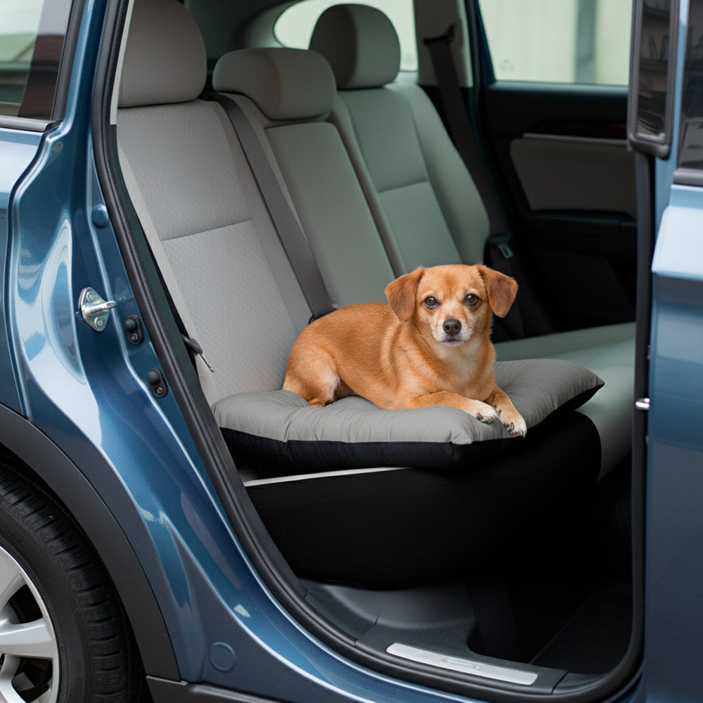Colchonete Pet Toddy Impermeável Pequeno