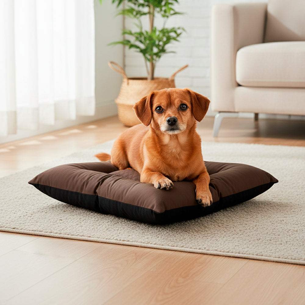 Colchonete Pet Toddy Impermeável Pequeno