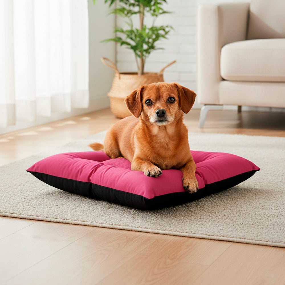 Colchonete Pet Toddy Impermeável Pequeno